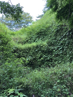 障子堀