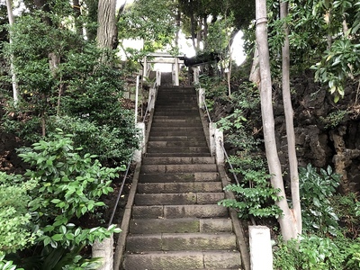 寺からのぞむ神社(城址)