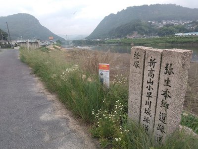 石碑からの新高山城、高山城 二城