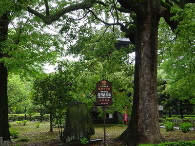 足利氏館跡
