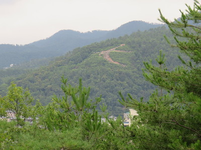 船岡山から見える左大文字