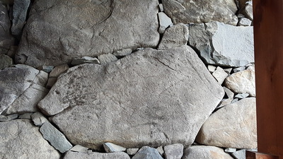 イノシシに見える石