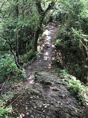 土橋?