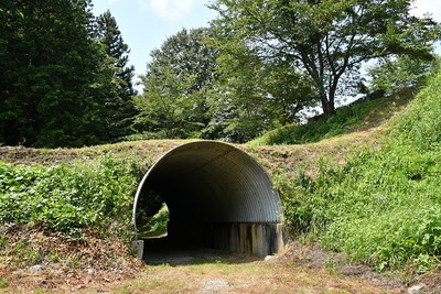 土橋のトンネル