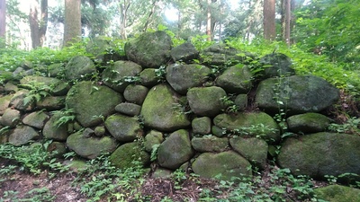 徳川時代の石垣