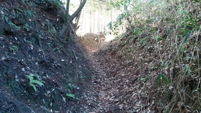 堀切状の登山道