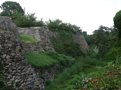 南から眺める白澤門跡の石垣