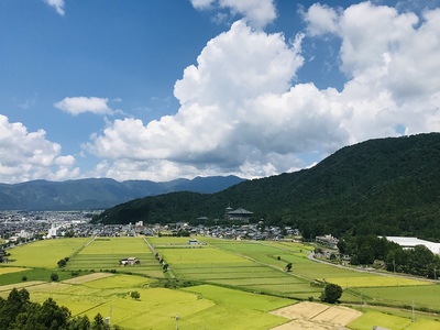 勝山城博物館からの眺望（北側）