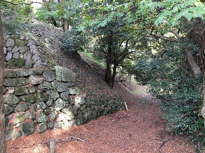 本丸南虎口東側の石垣と空堀