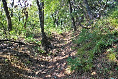 山崎丸南側横堀