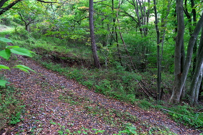 林道が横切る二重竪堀