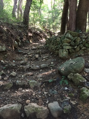 登城路の様子