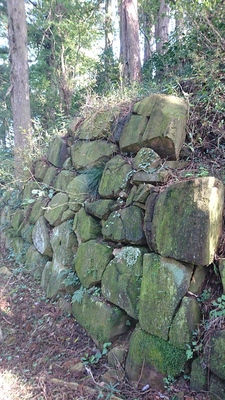 実城裏側の残存石垣