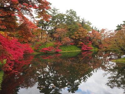 丑寅櫓付近の水堀と紅葉