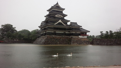 天守・辰巳櫓・月見櫓（南側）と２羽の白鳥