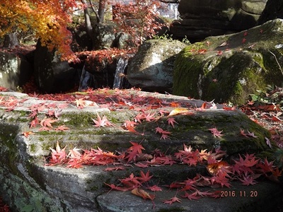 高島城・庭園の紅葉