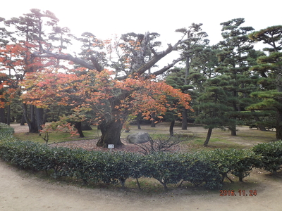 高松城・披雲閣の庭園