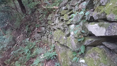 登山道の脇にある石垣