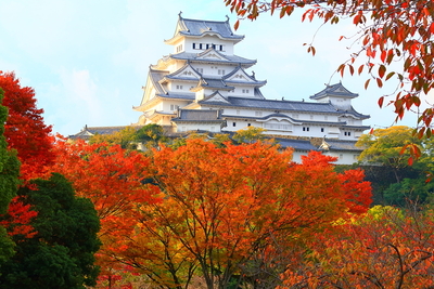 紅葉と天守北面 2019