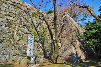 本丸石垣（南東側）と川上不白の顕彰碑