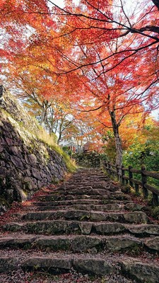 秋の登城道