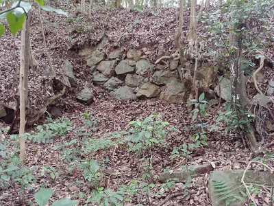 二の丸　杉の木井戸裏側石垣
