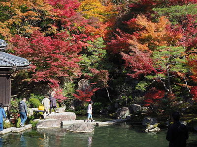 秋の庭園