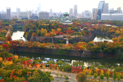 紅葉と壮大な石垣を、クリスタルタワーから