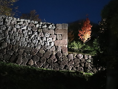 夜の石垣