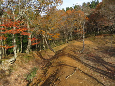 搦手曲輪の土塁と空堀跡(曲輪の北端辺り)