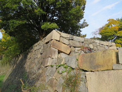 二の丸西鉄門北側の多聞櫓台の石垣（土橋より）