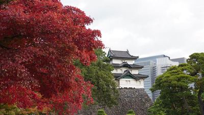 富士見櫓と紅葉