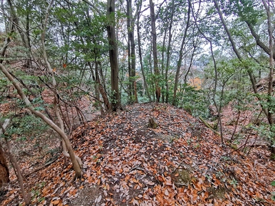 二重堀切(城山東側)