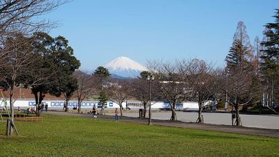西の丸からの富士山