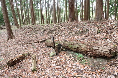 山屋敷の土塁