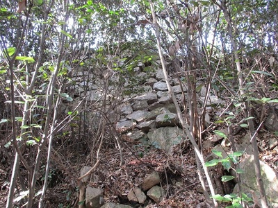 本丸南側の石垣（南面）