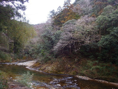 大千瀬川沿いの断崖