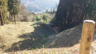 本丸跡から南の竪堀を見る（2016冬）