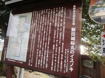 飯田城桜丸のイスノキの案内板