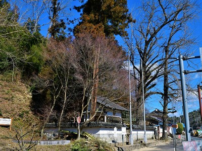 「天神社」と城山