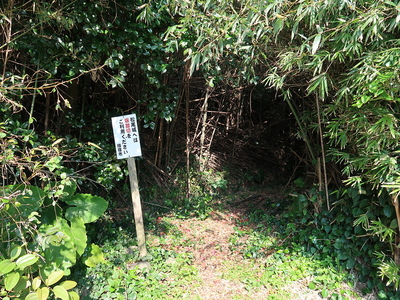 入り口の竹藪