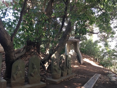 長福寺墓地東側の土塁の北端