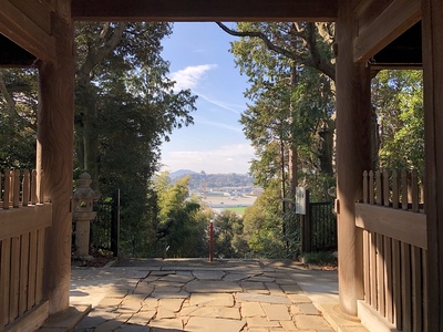 長寿院楼門から見た彦根城