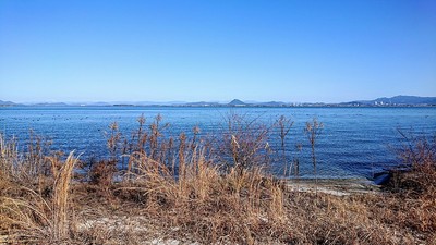 坂本城跡から望む琵琶湖