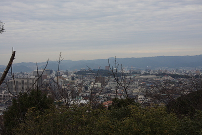 弥勒寺山城より和歌山城を眺める