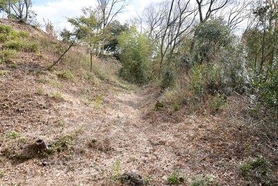 帯郭の横堀、土塁（本丸下）