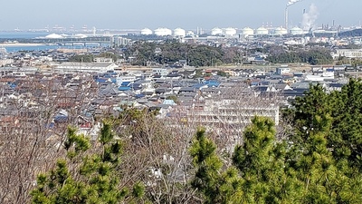 模擬天守から大草城が見えます