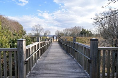 虎口への木橋