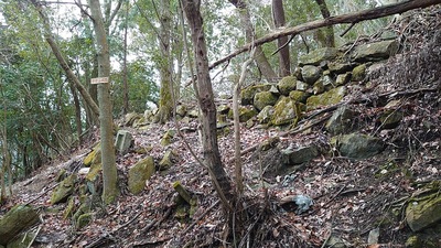 宇佐山城跡標識と石垣遺構