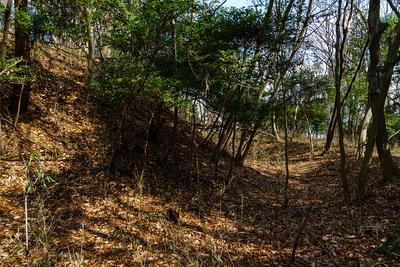 城域南端の横堀と土塁